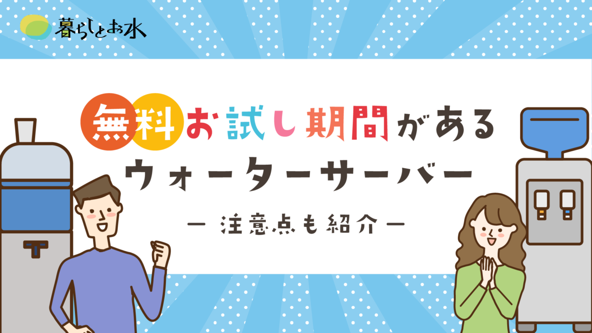 決まりました)フレシャス スタンダードモデル きたない